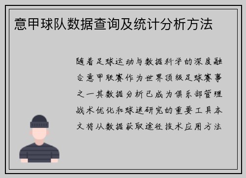 意甲球队数据查询及统计分析方法