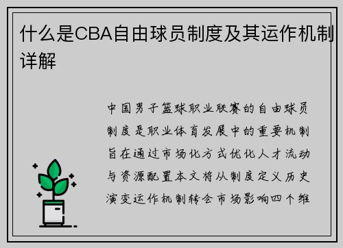 什么是CBA自由球员制度及其运作机制详解